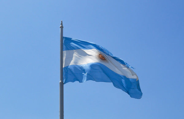 Kengla Flag Co.’s Argentina flag waving on a flagpole against a clear blue sky.