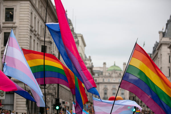 A collection of LGBTQ+ Pride flags, including the rainbow flag and identity-specific designs, displayed together at a vibrant outdoor event.