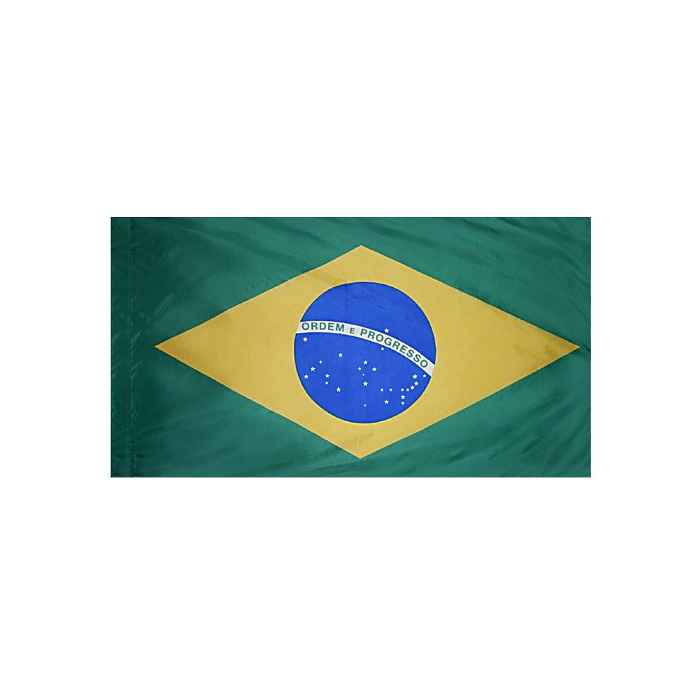 Brazil Flag with Polesleeve