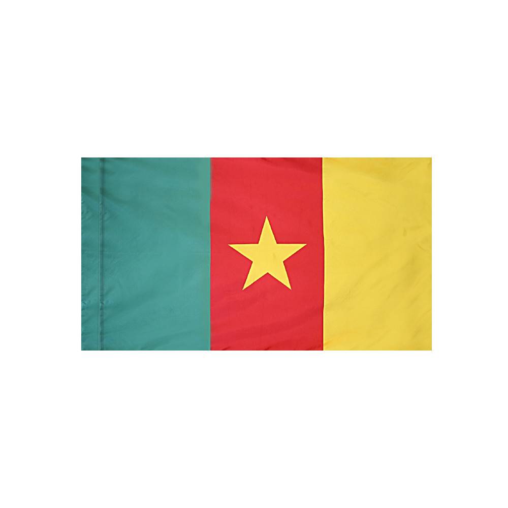 Cameroon Flag with Polesleeve