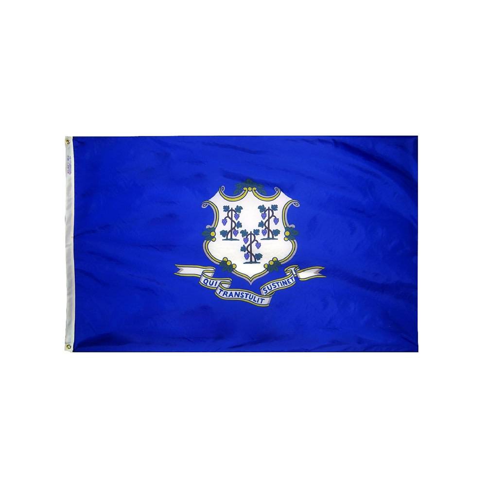12x18 in. Connecticut Nautical Flag