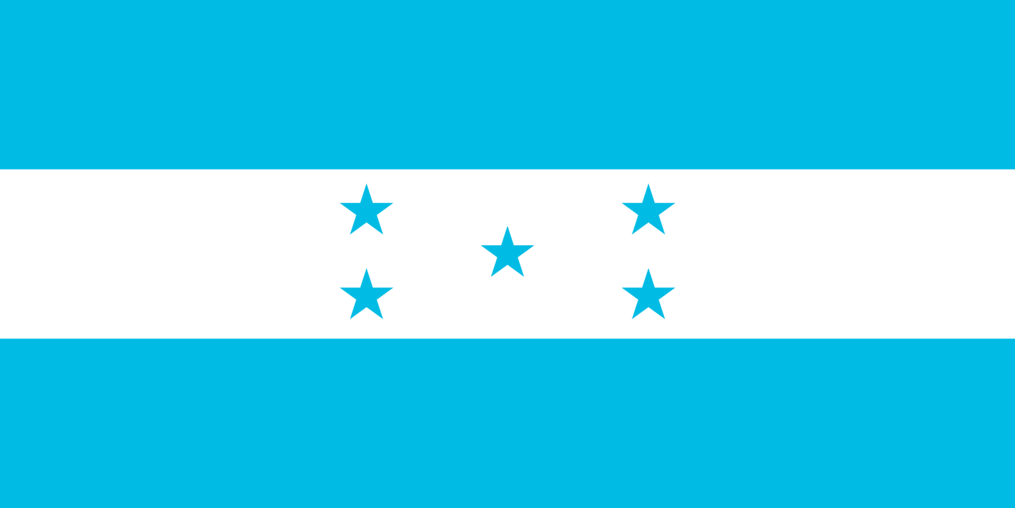 Honduras Stick Flag 4x6 in