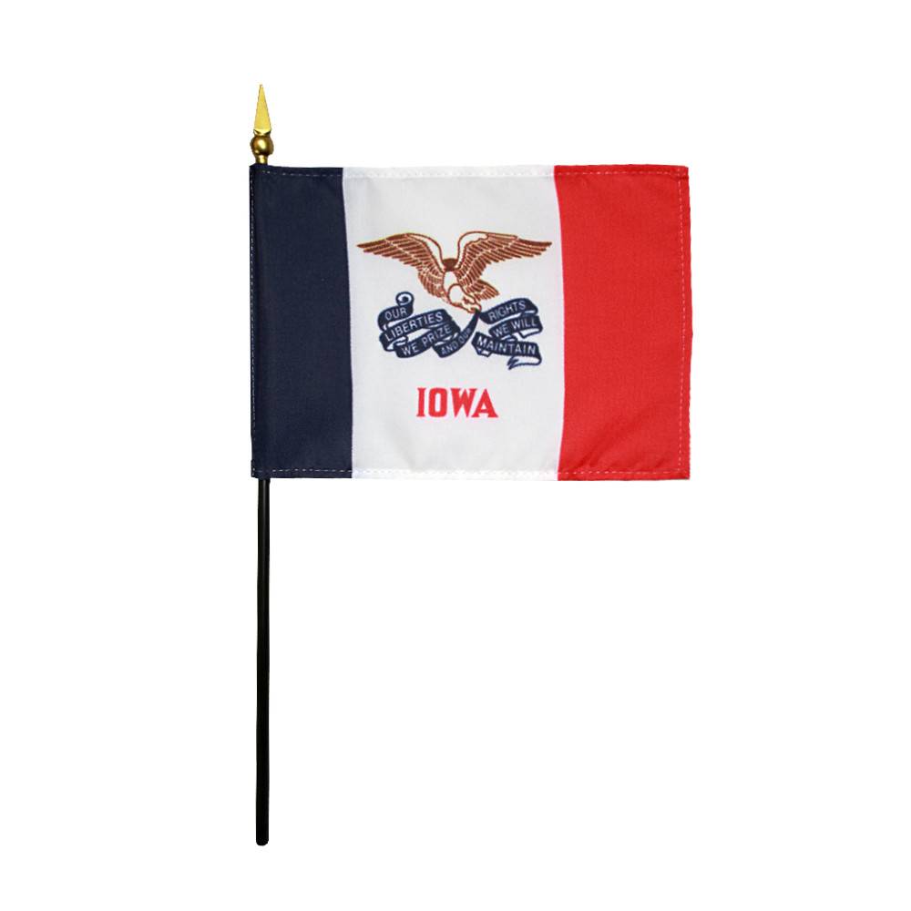 4x6 in. Iowa Stick Flag