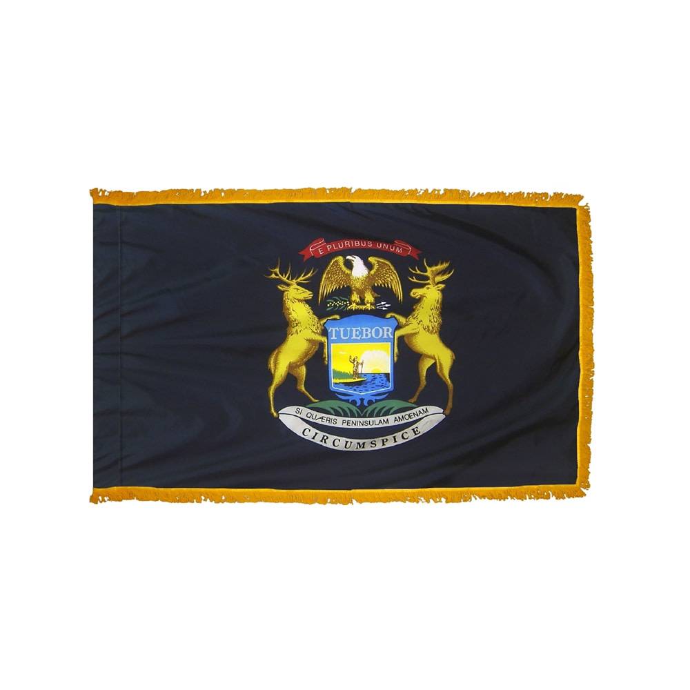 Michigan Flag with Polesleeve & Fringe