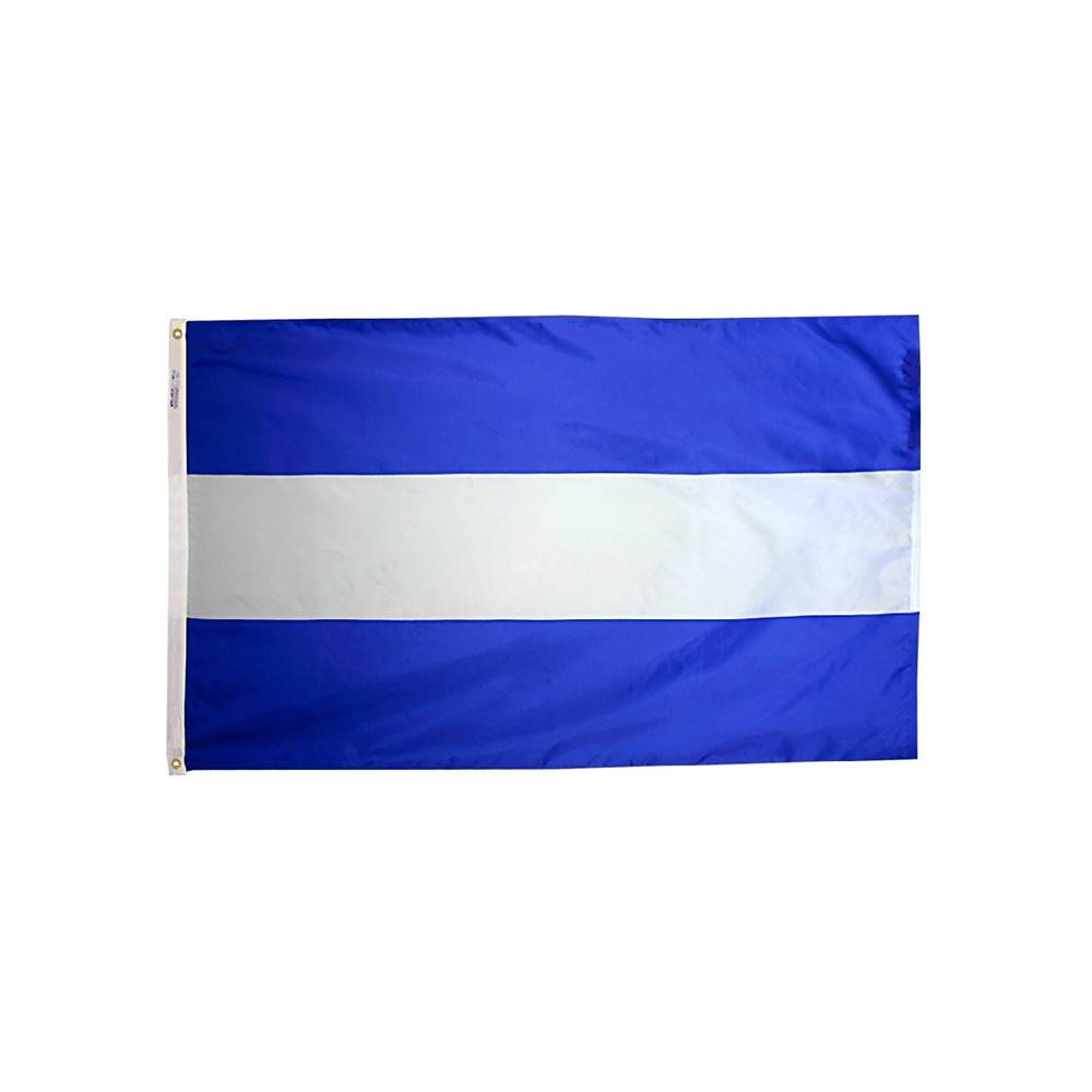 Nicaragua Flag without Seal