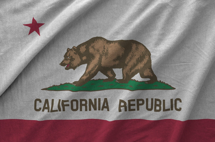 Rippling California Bear Flag close-up by Kengla Flag Co.