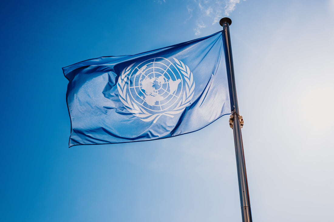 The History of the United Nations Flag and What Its Symbols Represent
