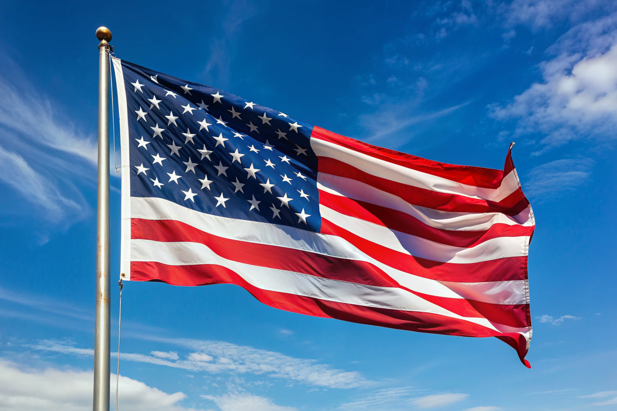 Political Flags | Democratic & Republican Flags