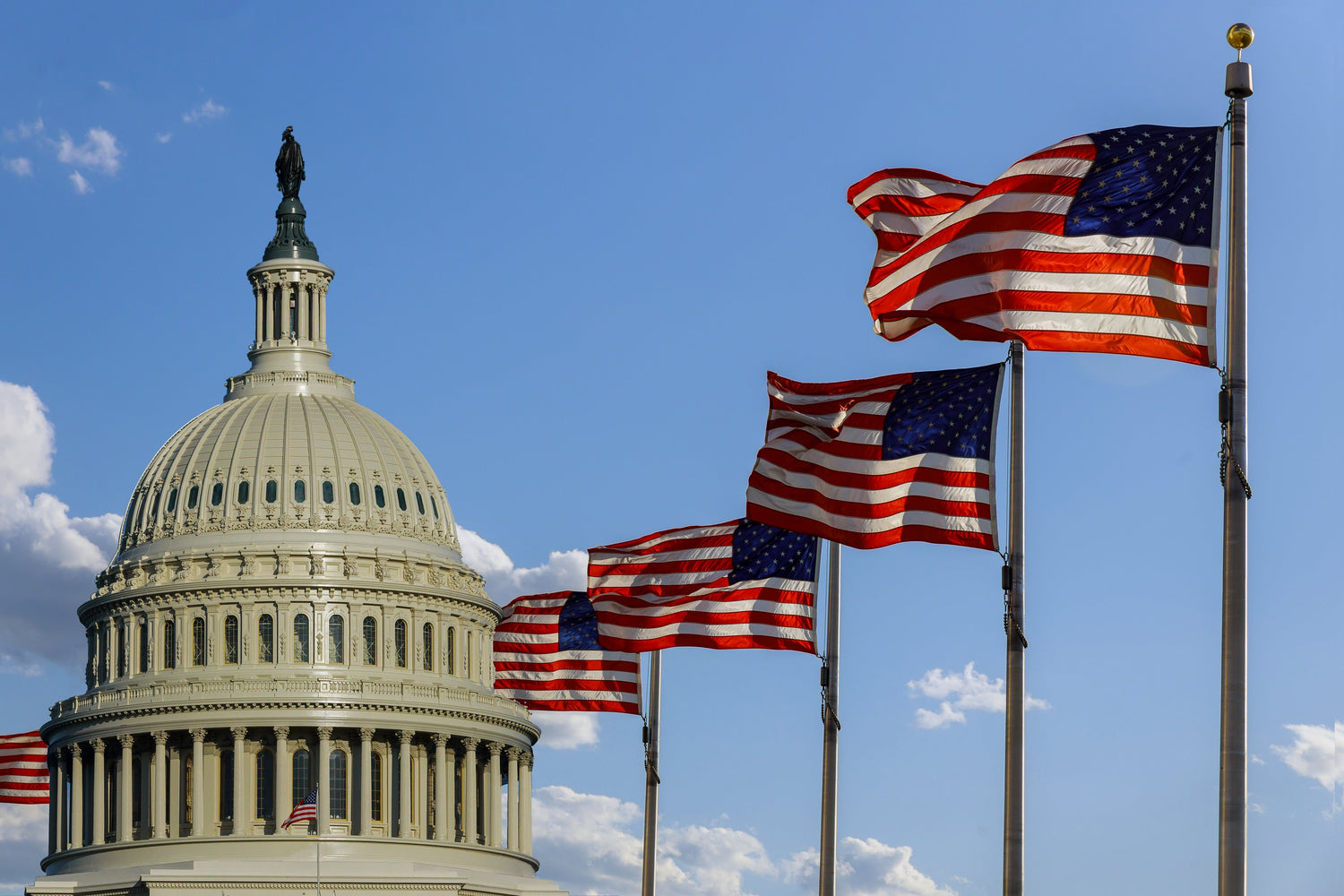 Federal Government Flags