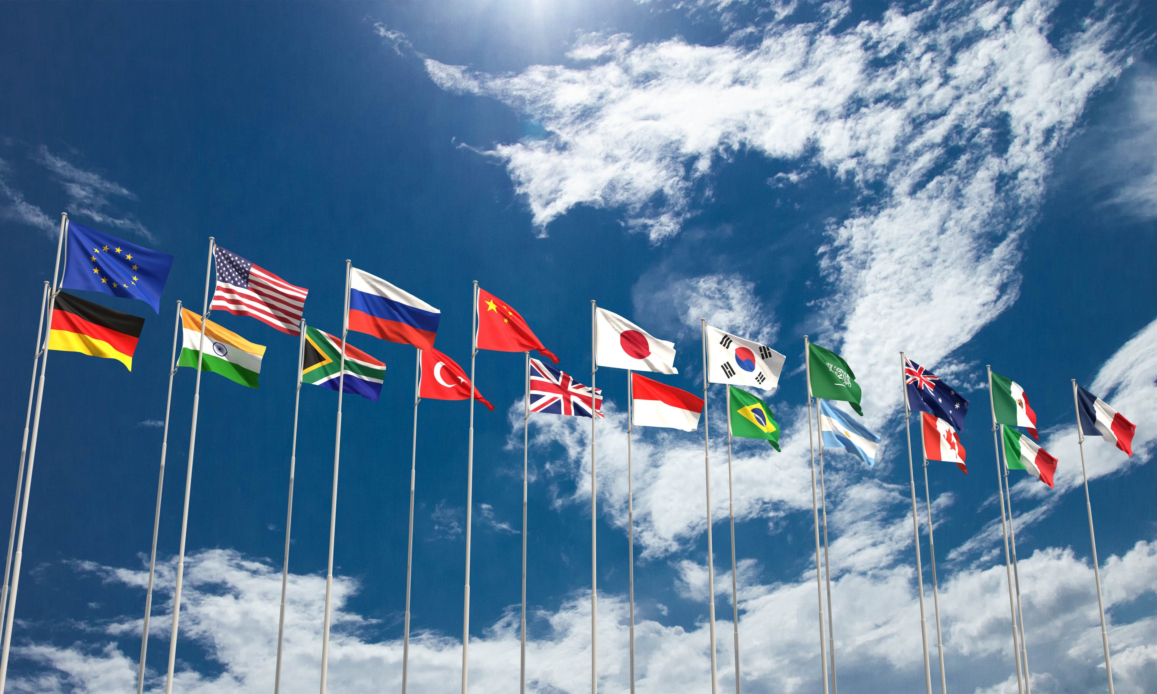 Indoor & Parade World Flags
