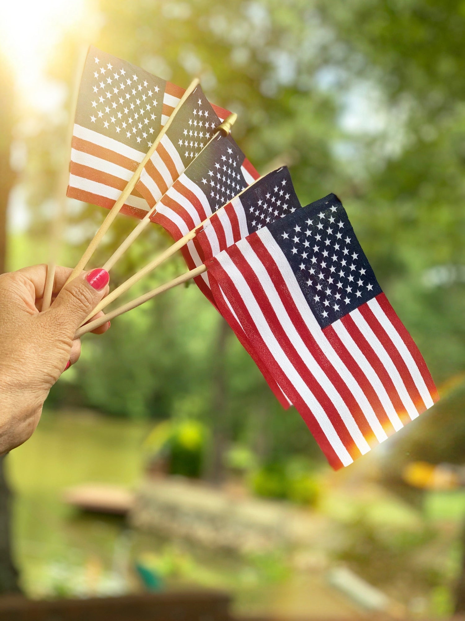 Historical Stick Flags
