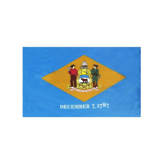 Delaware Flag with Polesleeve