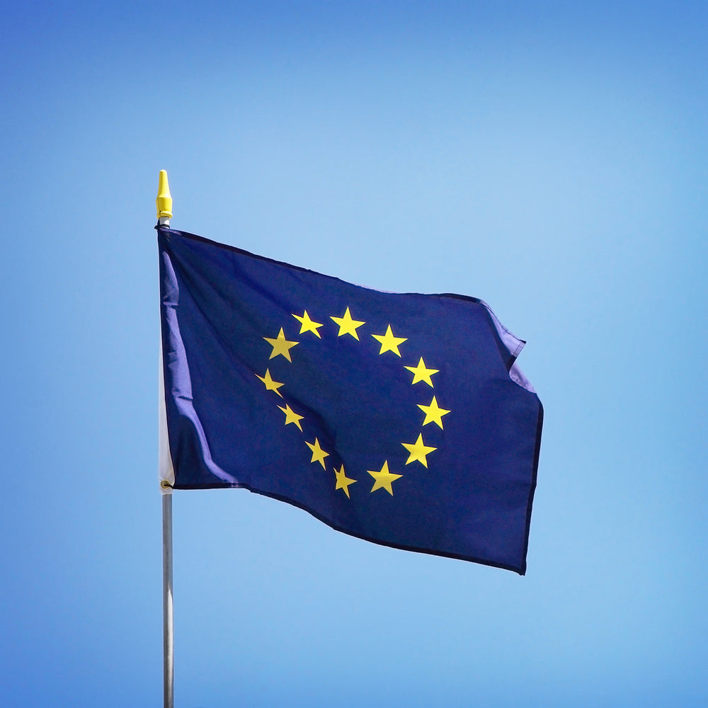 Choosing the Right Format for International Display