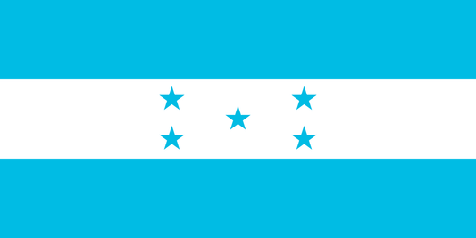 4x6 in. Honduras Stick Flag