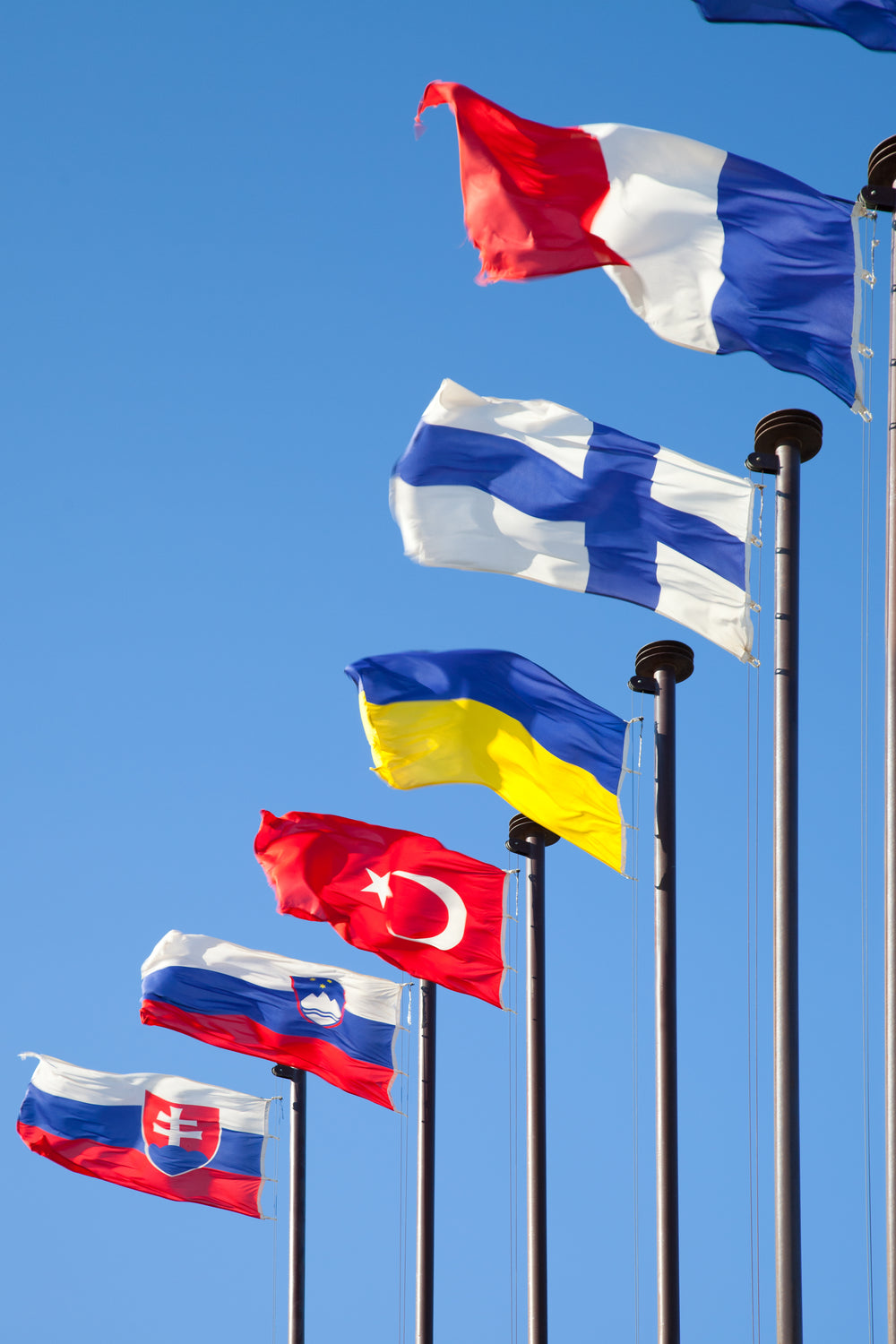 Supporting International Recognition and Cultural Display 