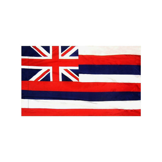 Hawaii Flag with Polesleeve