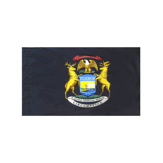 Michigan Flag with Polesleeve