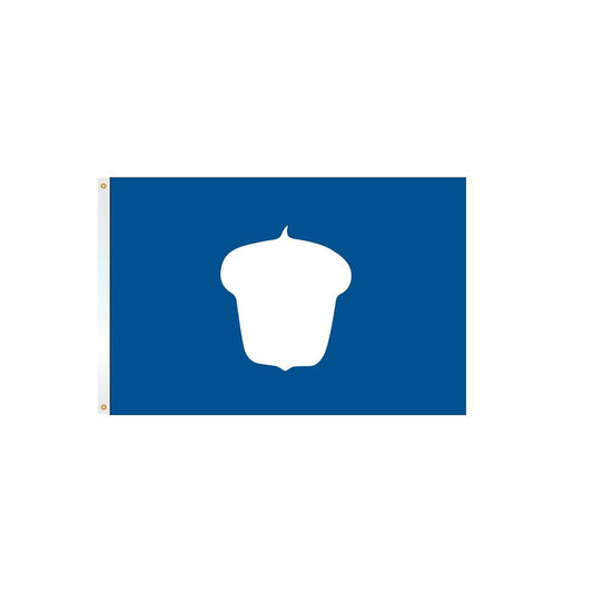 12x18 in. Treasurer Nautical Flag