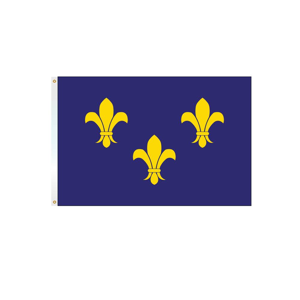 3x5 ft. Fleur-di-Lis Flag