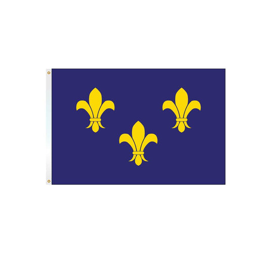 3x5 ft. Fleur-di-Lis Flag