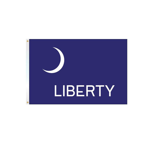 Fort Moultrie Flag